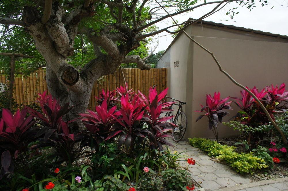 Rincon D'Olon Boutique Hotel Exteriér fotografie