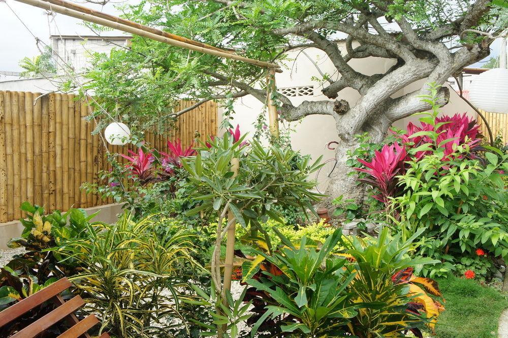 Rincon D'Olon Boutique Hotel Exteriér fotografie